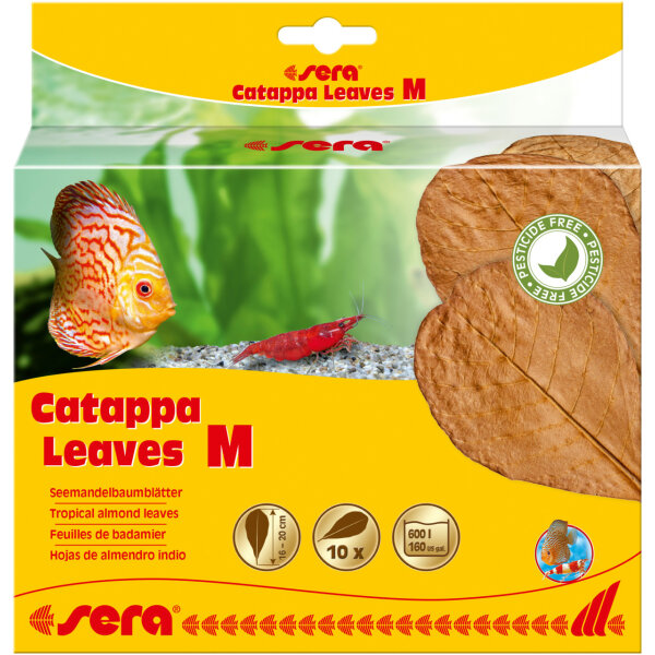 sera catappa leaves m 18 cm 10 ks listy